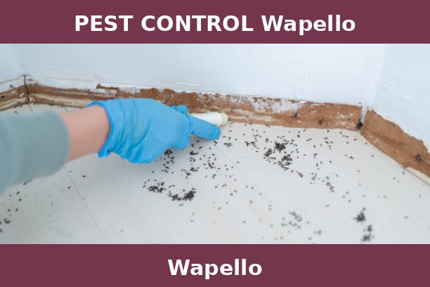 PEST CONTROL Wapello